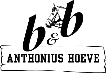logo bbanthoniushoeve